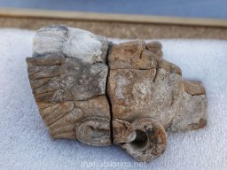 Yacimiento Casas del Turuñuleo 2023